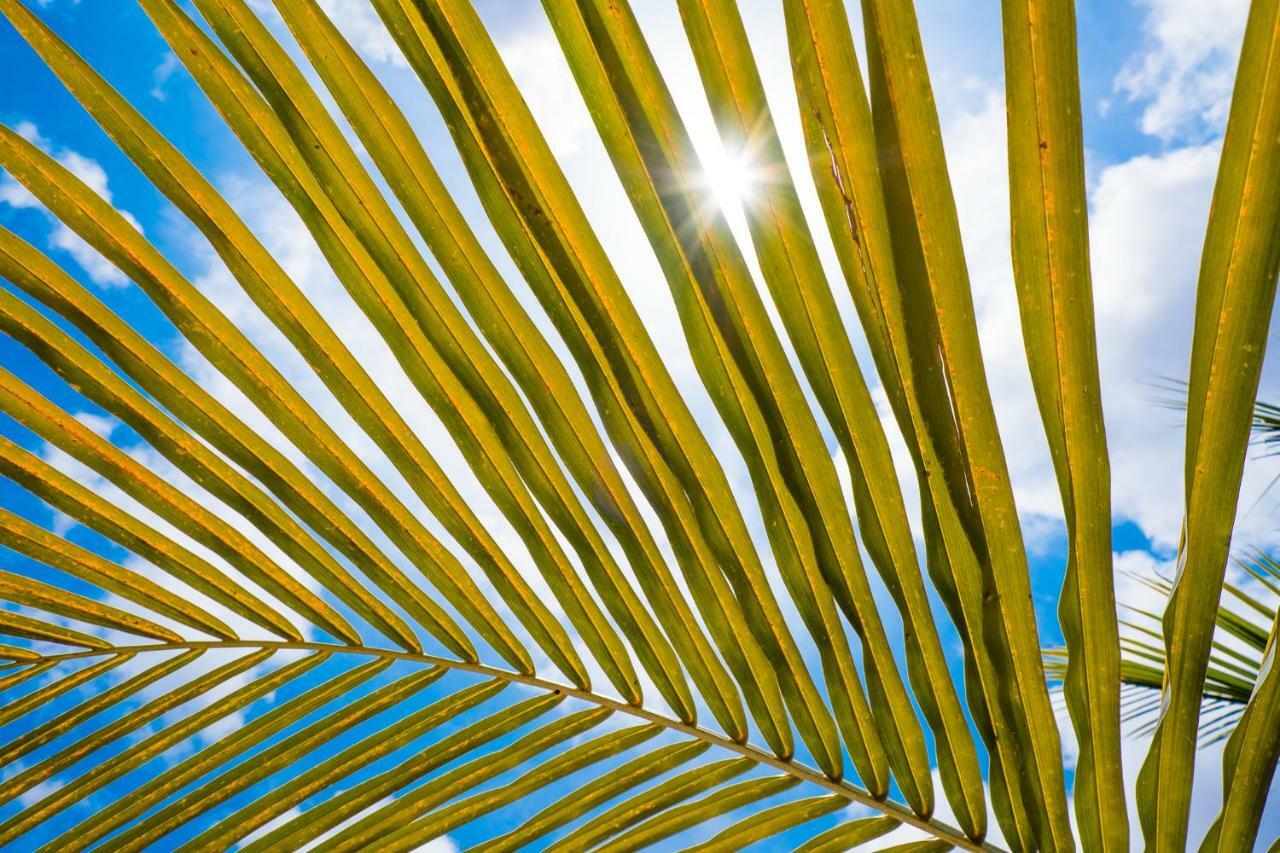 Beaches Bonaire Playa Exterior foto